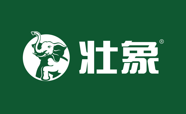 环保板材logo-04壮象.png