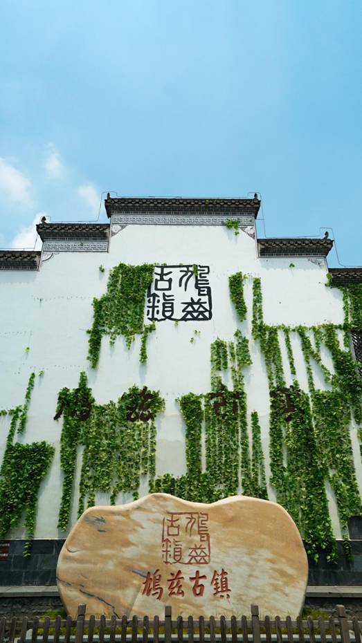 DSC06857_副本