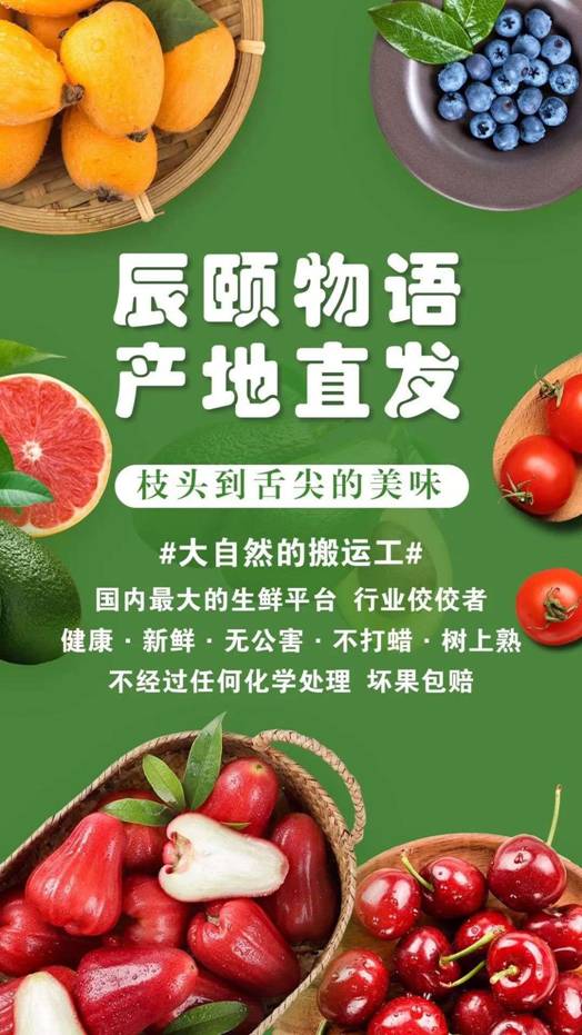 辰颐物语:辰颐物语水果怎么代理?